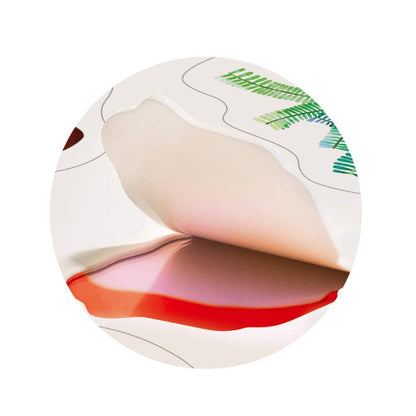 Autocollants Jelly - Le Pays Des Dinosaures