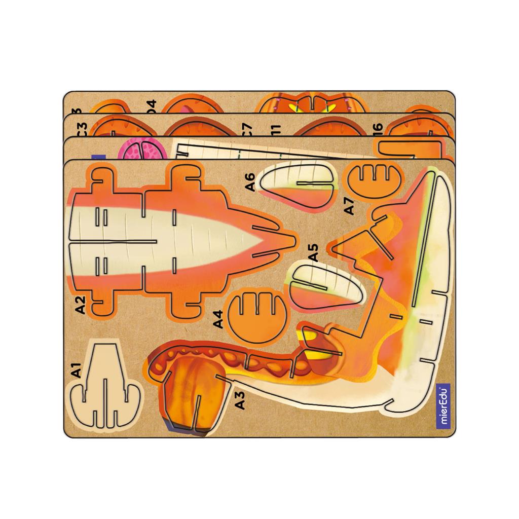 Puzzle 3D Construction - Brachiosaure