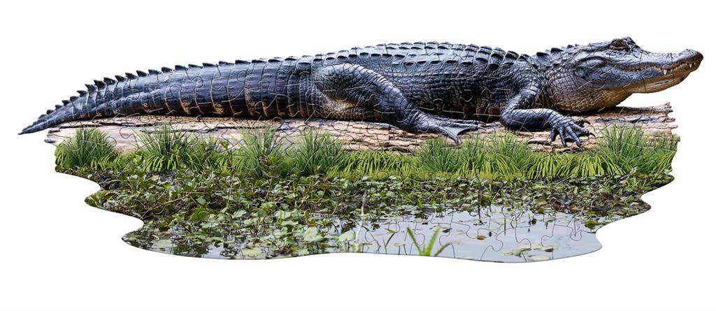 Alligator Puzzle