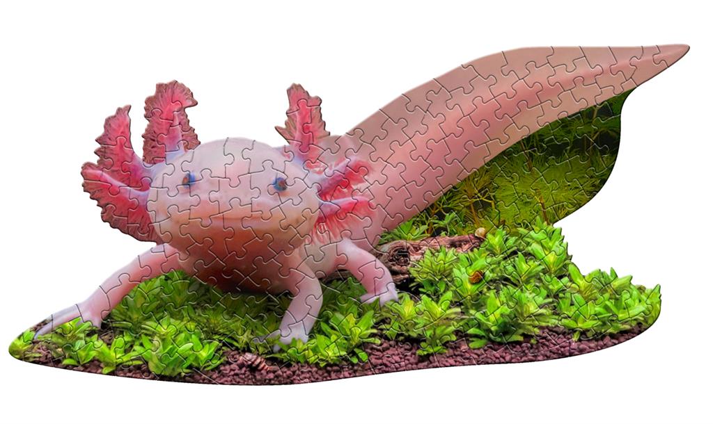 Axolotl Puzzle