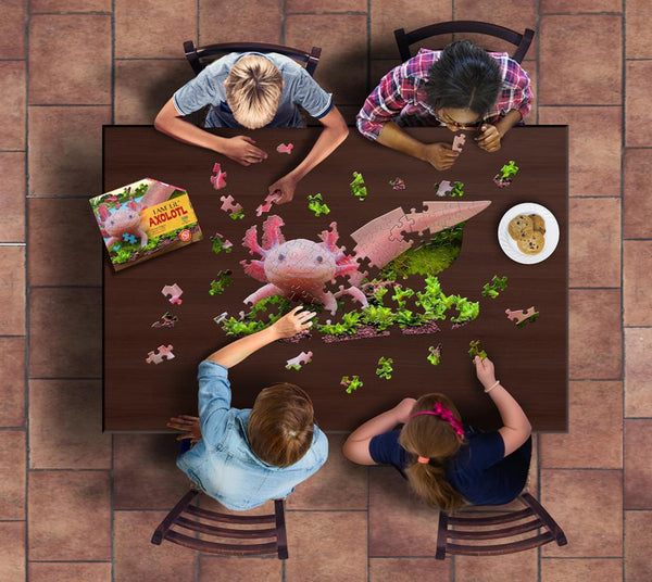 Axolotl Puzzle