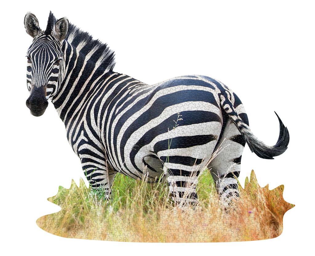 Zebra Puzzle