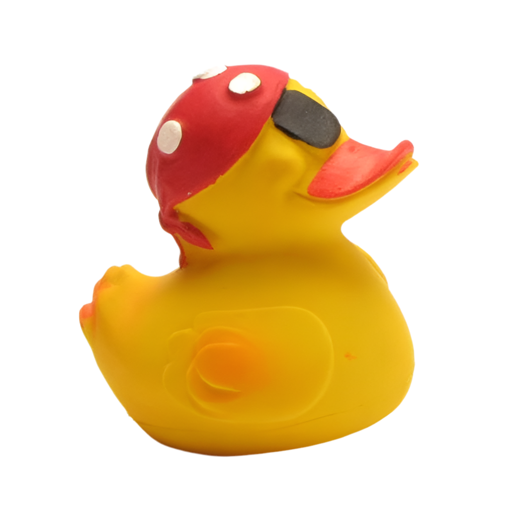 Pirate Duck