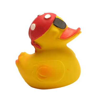 Pirate Duck
