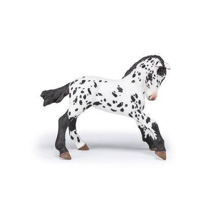 Black Appaloosa Colt Figurine