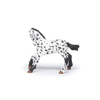 Black Appaloosa Colt Figurine