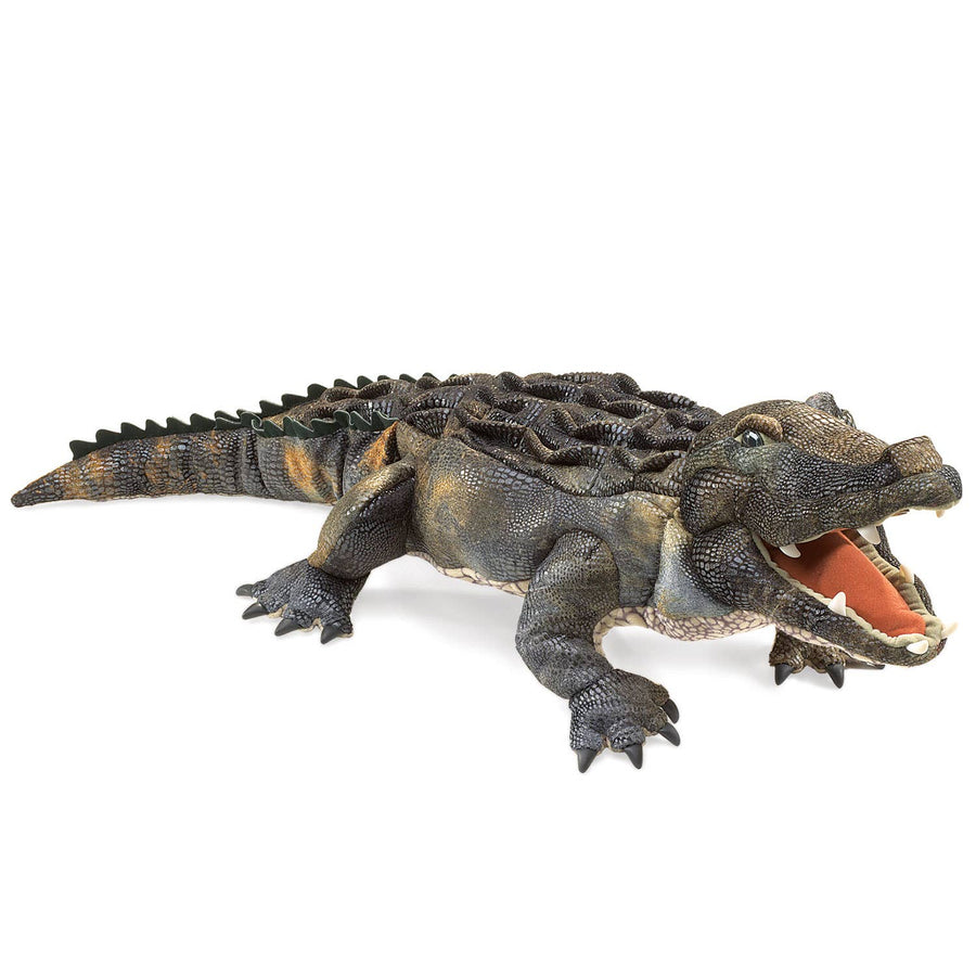 Amerikaanse alligator