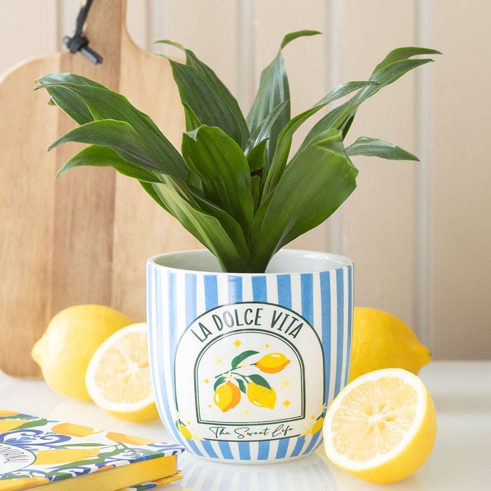 "La Dolce Vita" Blue Striped Pot
