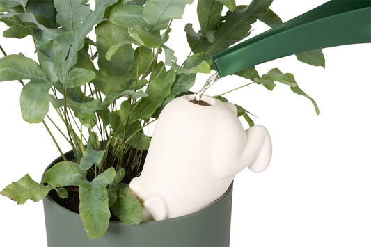 arroseur autonome lapin bunny bitten