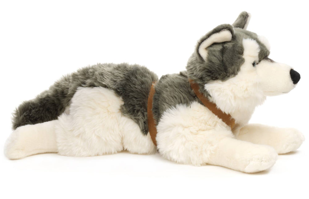 Peluche Husky Couché (avec Harnais) - 62 cm (Longueur)