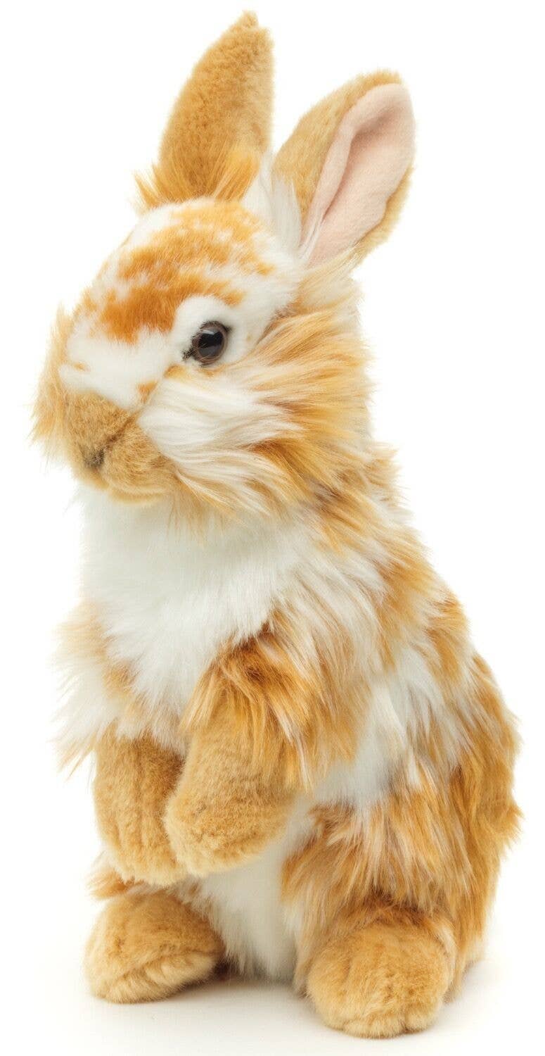 Golden lionhead rabbit plush stand up.