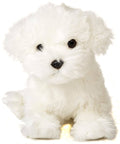 Peluche Chien Maltais sans Laisse