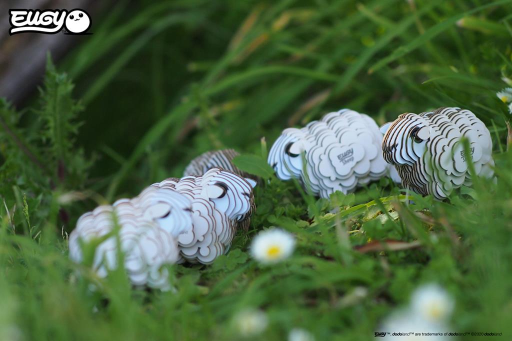 EUGY 3D - Sheep