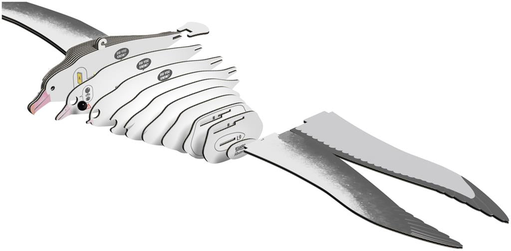 EUGY 3D - Royal Albatross