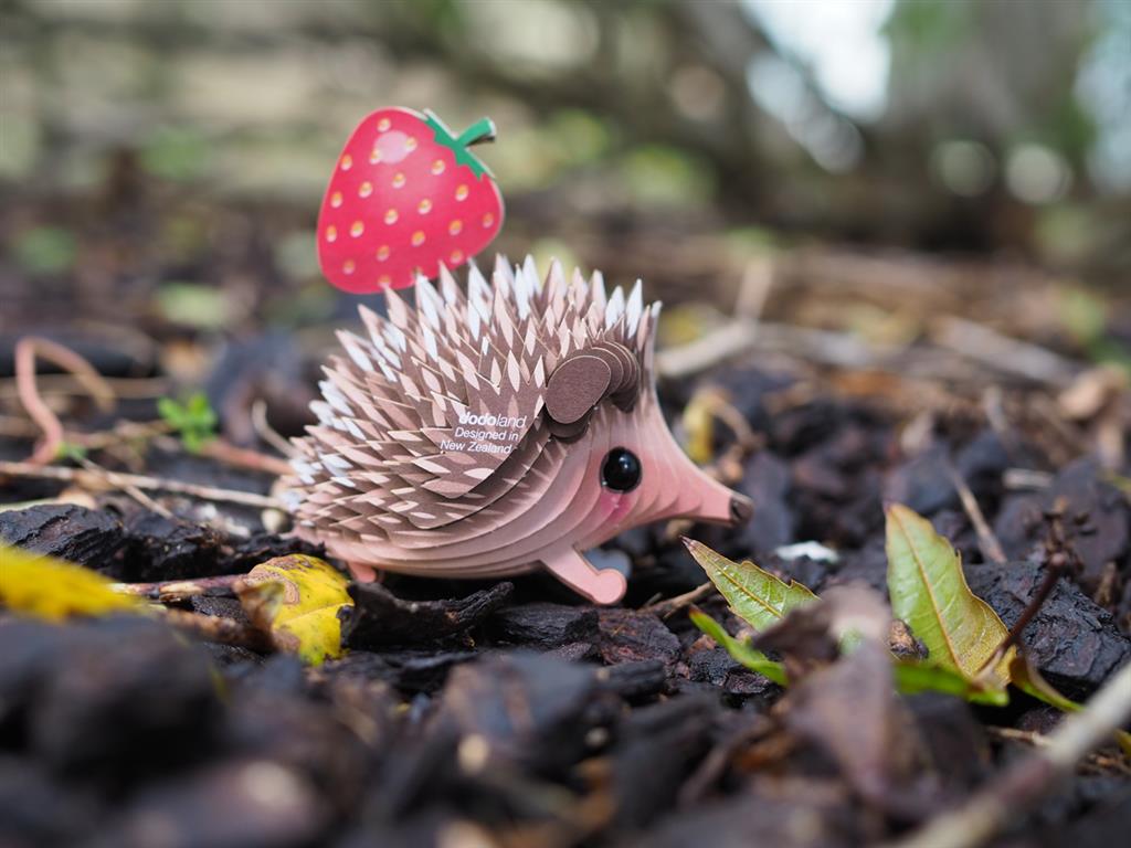EUGY 3D - Hedgehog