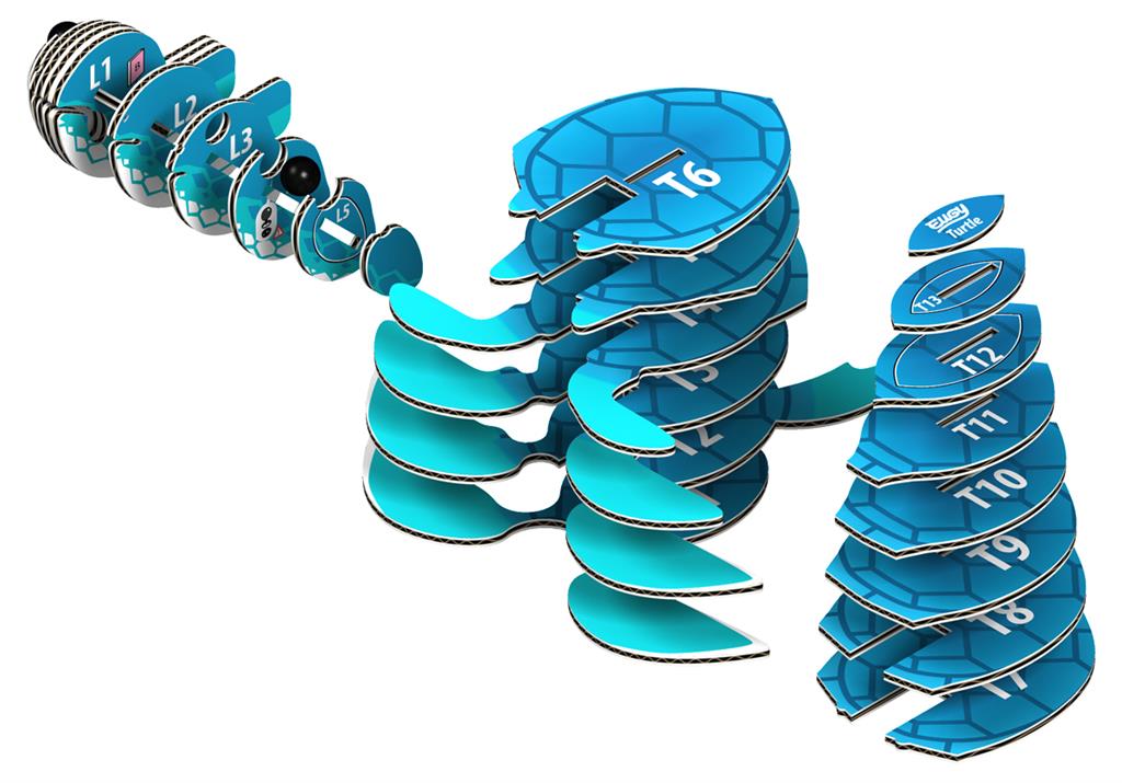 EUGY 3D - Tortue de mer