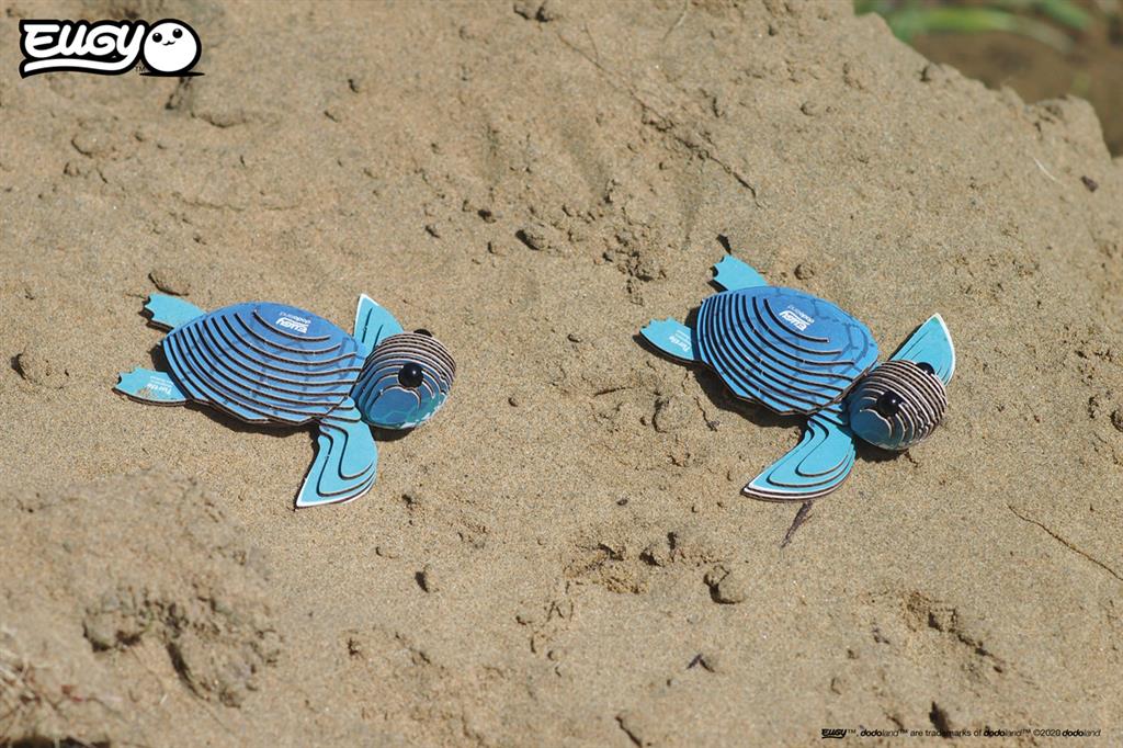 EUGY 3D - Tortue de mer