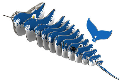 EUGY 3D – Buckelwal