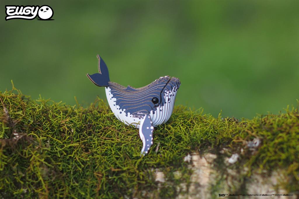 EUGY 3D – Buckelwal