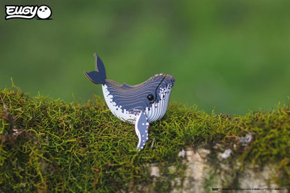 EUGY 3D – Buckelwal