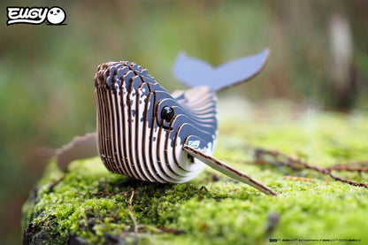 EUGY 3D – Buckelwal