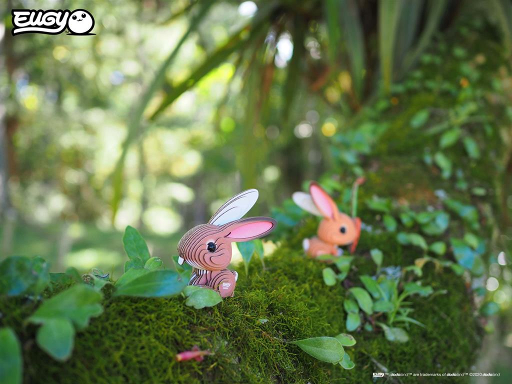 EUGY 3D - Lapin