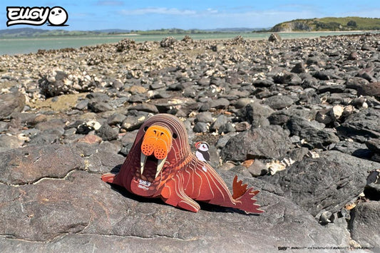 EUGY 3D - Walrus