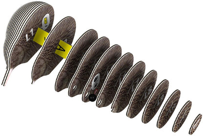 EUGY 3D - Brown Kiwi