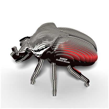 EUGY 3D - Goliath Beetle