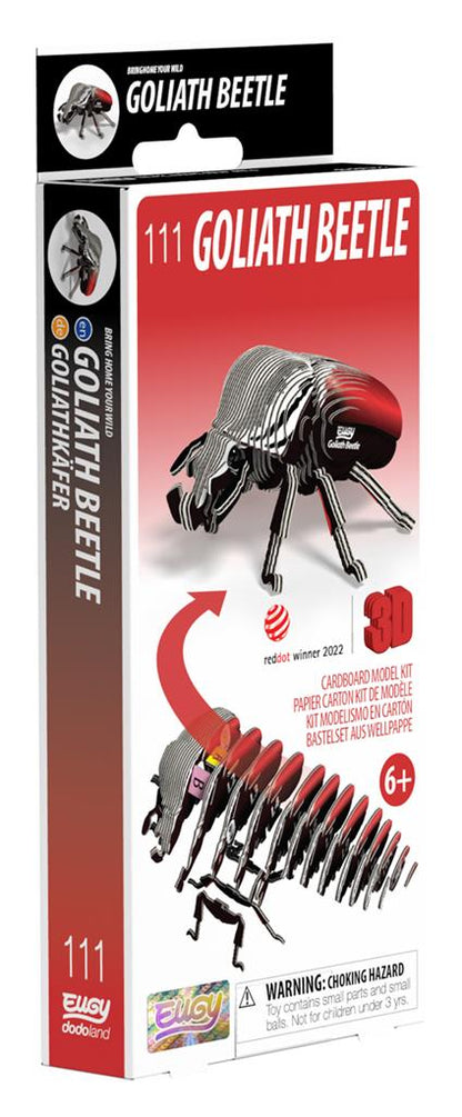 EUGY 3D - Goliath Beetle