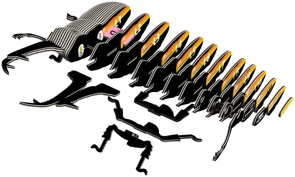 EUGY 3D - Lucanidae Beetle