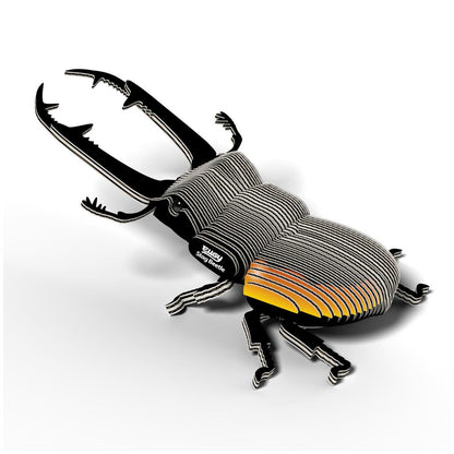 EUGY 3D - Lucanidae Beetle