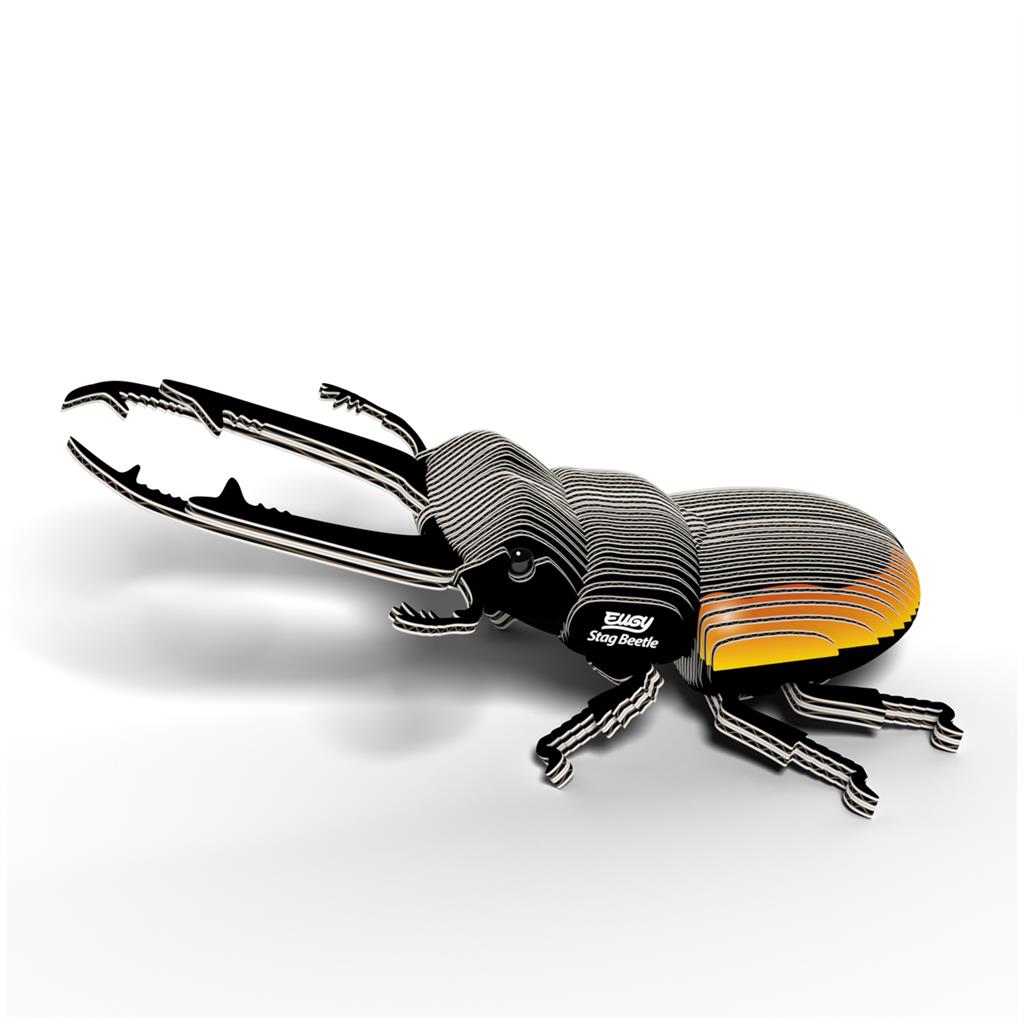 EUGY 3D - Lucanidae Beetle