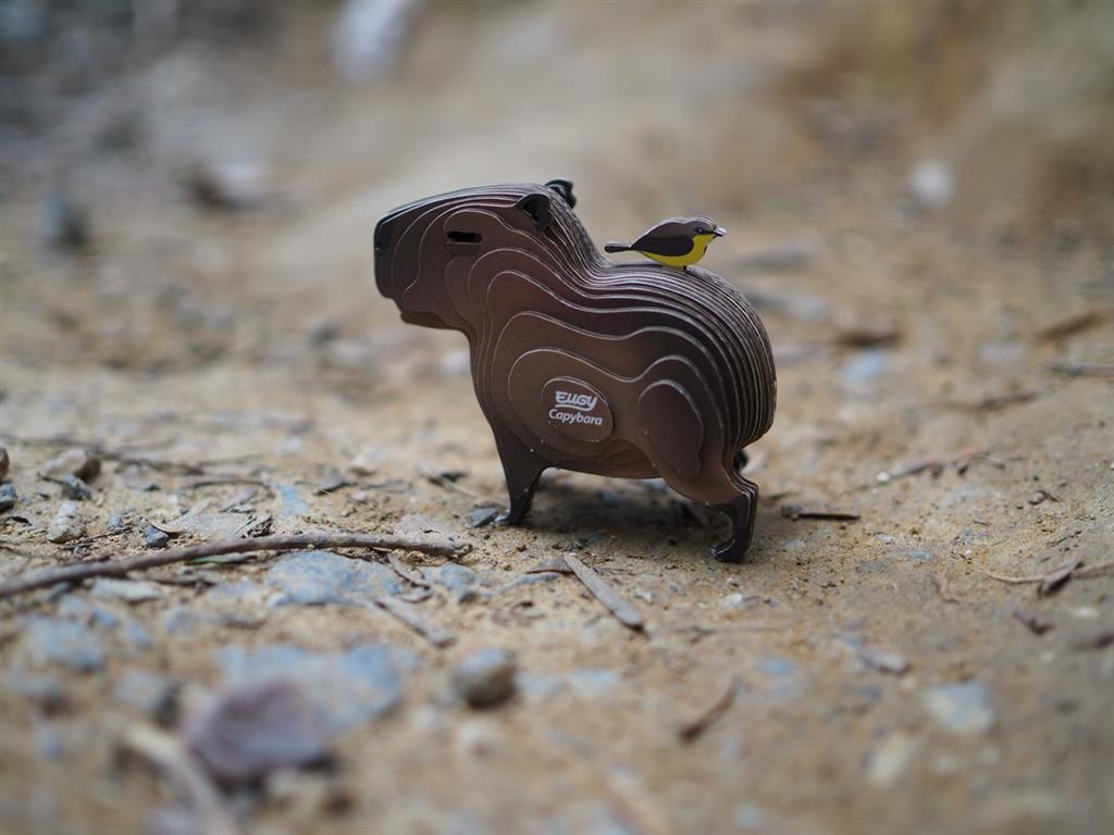 EUGY 3D - Capybara