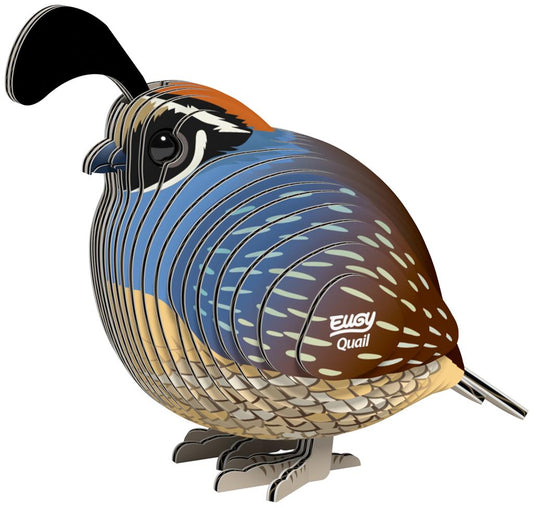 EUGY 3D - Quail