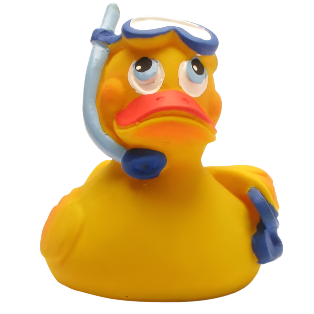 Snorkeling Duck