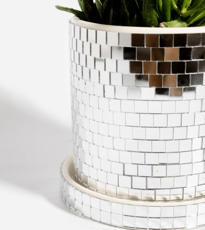 Disco plantenpot
