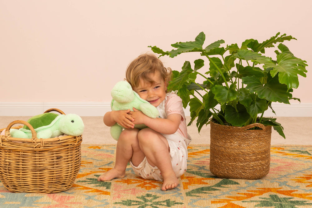 Sandy Turtle Plush Toy