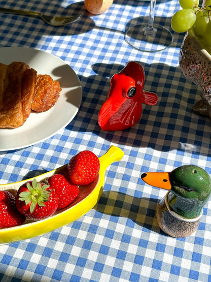 Sel et Poivre Canard Colvert