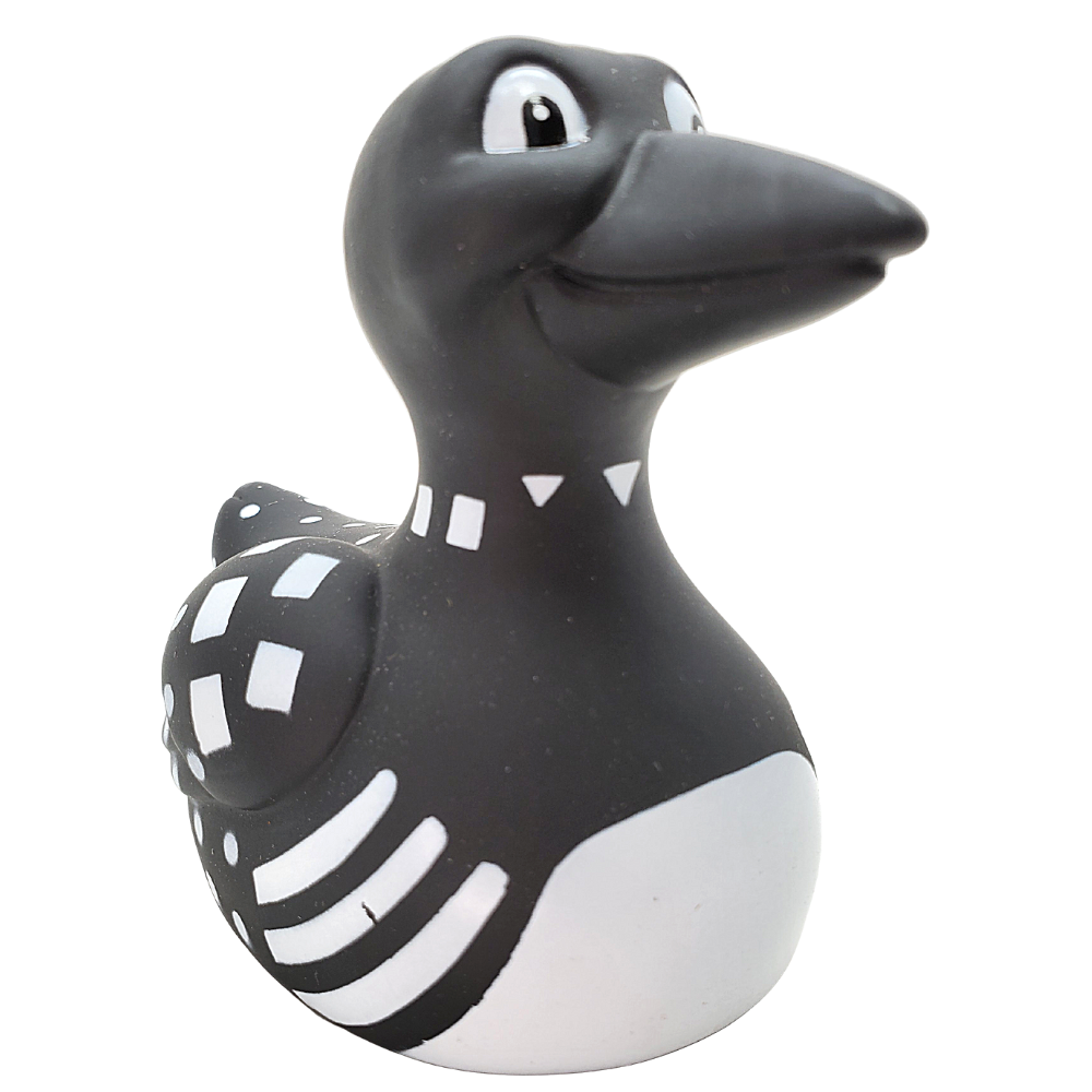Duck Claire The Loon