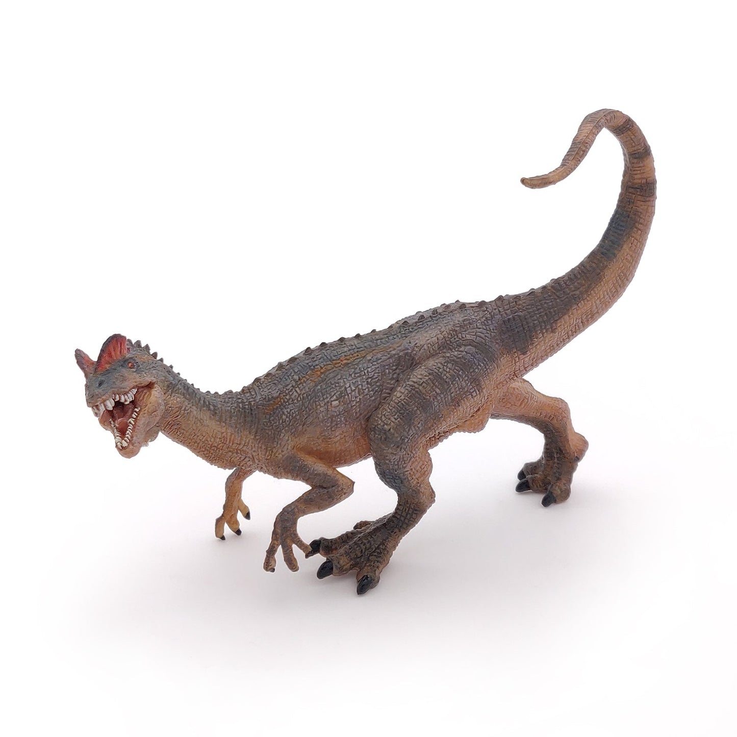 Dilophosaurus Figure