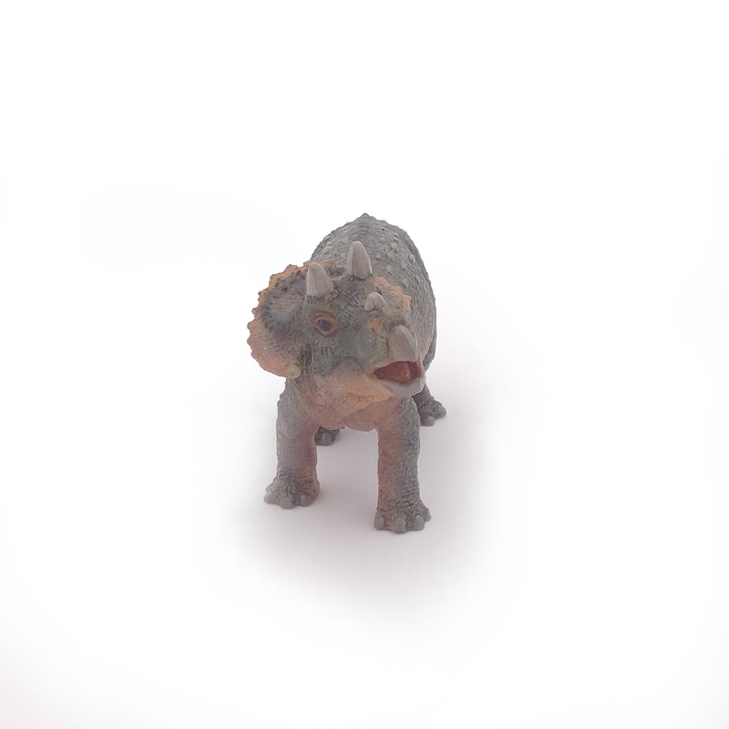 Young Triceratops Figurine