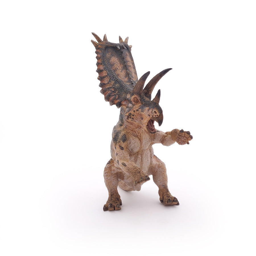 Pentacératops