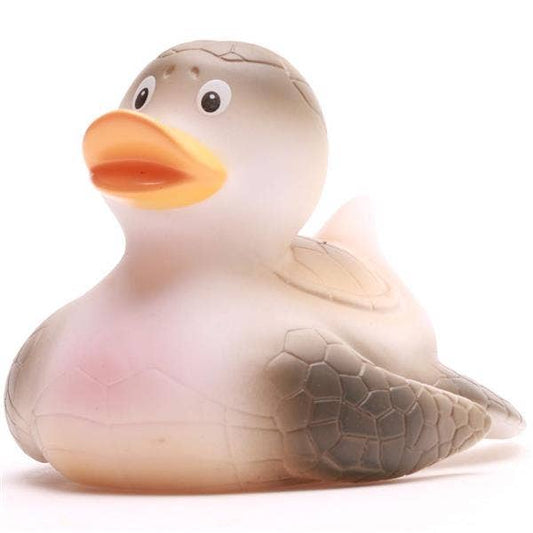 Canard tortue de mer