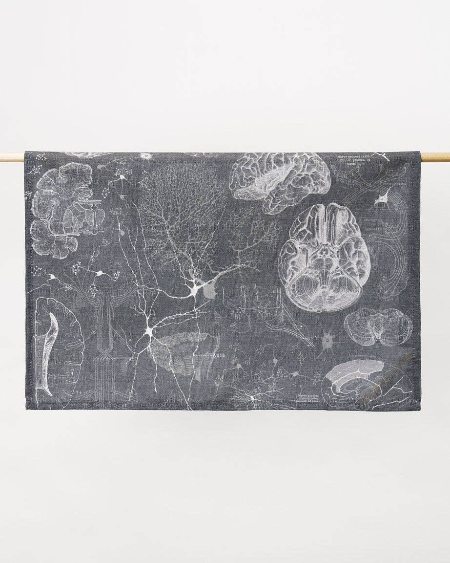 Brain Science and Neuroscience Rag