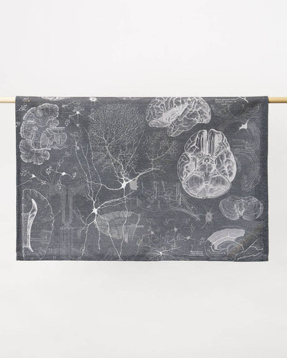 Torchon Science du Cerveau et des Neurosciences – produit scientifique Cognitive Surplus EU, vue 2