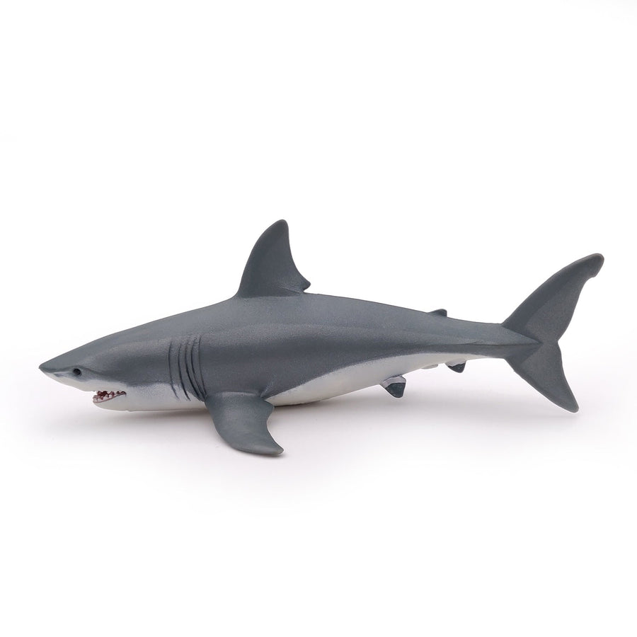 Grand requin blanc