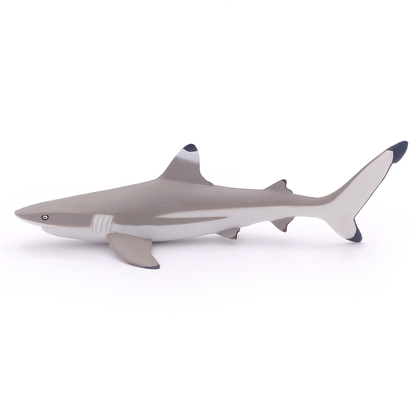 Blacktip Reef Shark Figurine