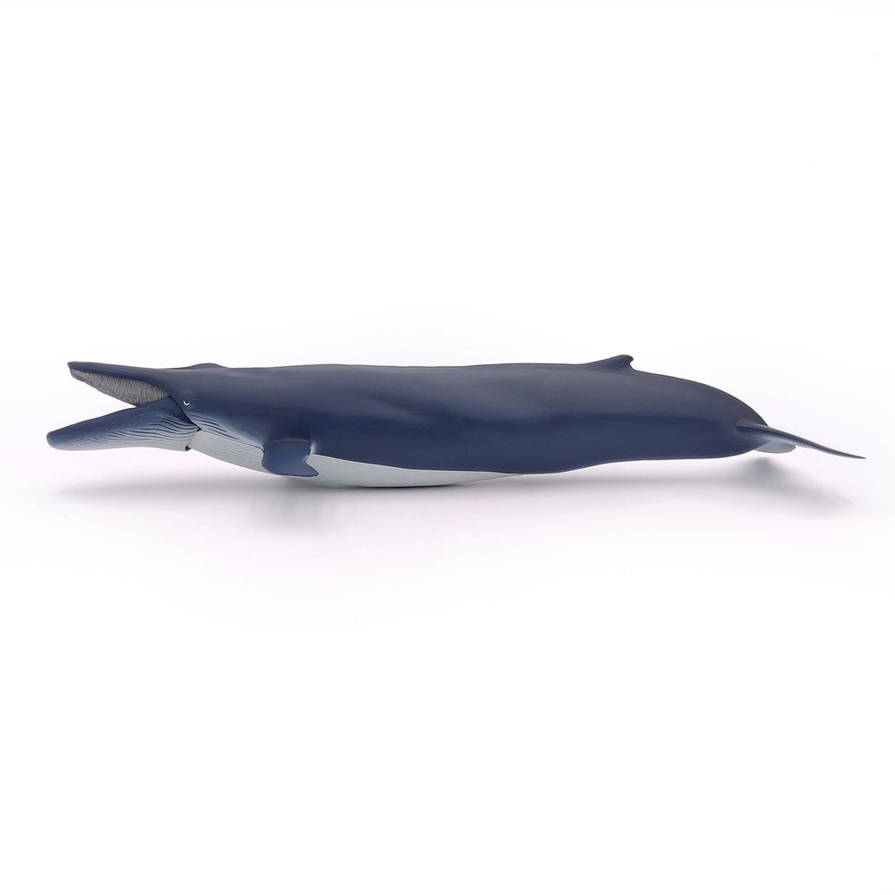 Figurine Baleine bleue