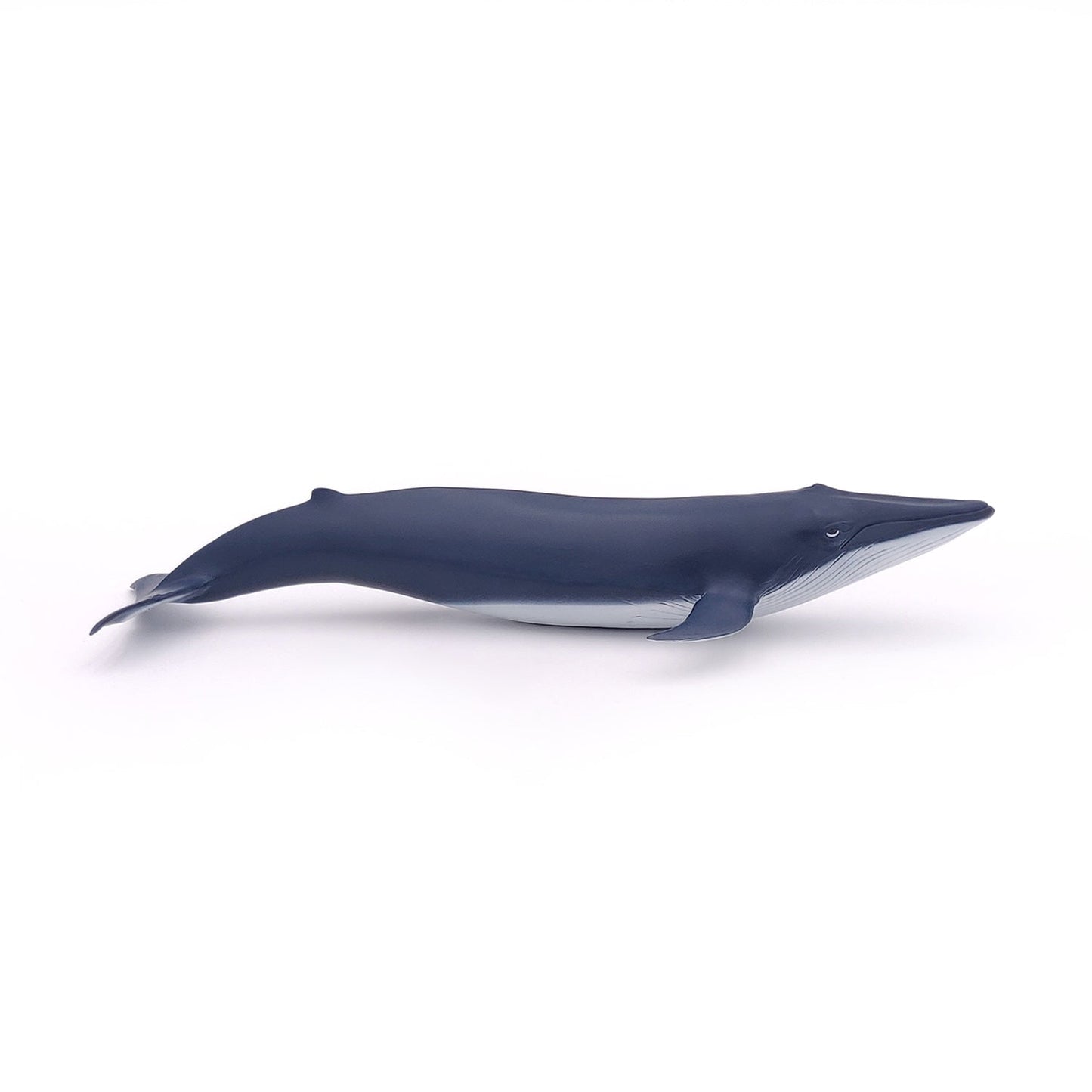 Baby Blue Whale Figurine